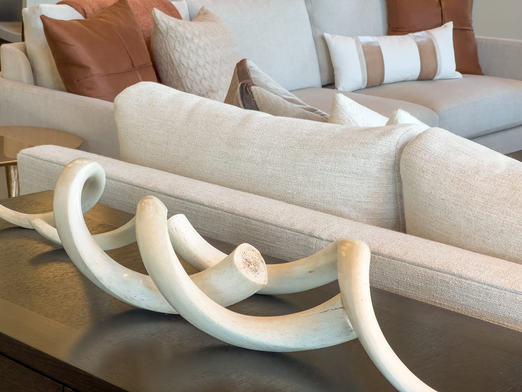 Antler decor detail